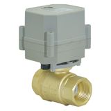 3/4 Inche 110V-230V Motorized Brass Ball Valves (T20-B2-C)