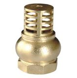 Brass Check Valve (JL-708)