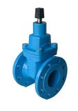 Gate Valve