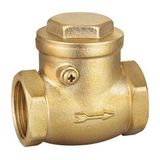 Brass Check Valve (SS6020)