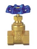 Valve (RXV-5101)