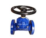 Dn300 Diaphragm Valve