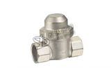 Swing Strainer Valve (YD-7007)