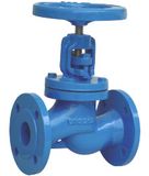 Globe Valve