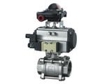 Pneumatic Two-Way Valve (Q611F)