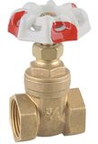 Brass Gate Valve (WSD-7011)