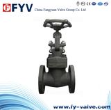 Bolt Bonnet Forged Steel Globe Valve