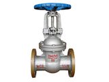 Check Valve