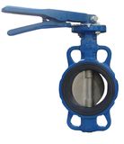 Soft Sealed Butterfly Valve (D71X)