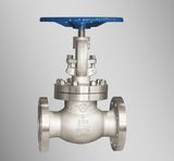 DIN RF Globe Valve