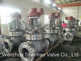 API 600 Flanged RF Wedge High Pressure Gate Valve