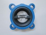 Rubber Coated Check Valve - Manufacturer