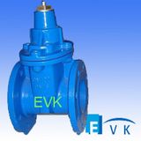 DIN3352 F4 Cast Iron Gate Valve