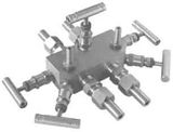 Manifold Multi-Port Valve