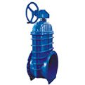 Oversized Resilient Seated Gate Valve (LIFC6003)