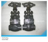 API CE A105n Socket Weld Forged Gate Valve