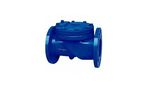 Rubber Disc Check Valve