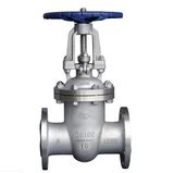 Stainless Steel Wedged Gate Valve