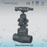 Forged Socket Welding Globe Valve