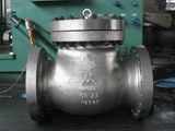 GR4A Swing Check Valve