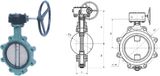 A -Type Butterfly Valve (207)