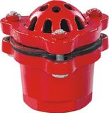 Foot Valve