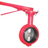 Butterfly Valve (1)