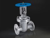 Stainless Steel Flange Gate Valve