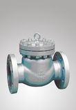 Class 300 Check Valve