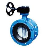 Flanged Center Line Butterfly Valve