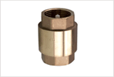 Check Valves /Filter Valves (ART. 6101)