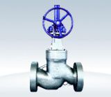 Globe Valve