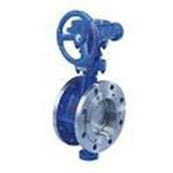 Double Eccentric Butterfly Valve (150lb)