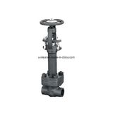 Fa 200 Cryogenic Type Gate Valve