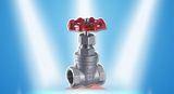 Hard Seal Type Threaded Gate Valve Dn100