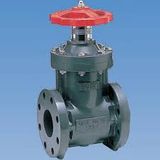 Plastic Gate Valve