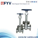 Manual High Pressure Cryogenic Gate Valve