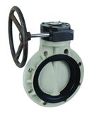 Pph Worm Gear Butterfly Valve (D371X-6U)
