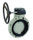 Pph Worm Gear Butterfly Valve (D371X-6U)