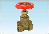 Brass Valve (DX-GV06-01)