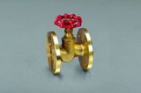 CE Certificate Flanged Brass Globe Valve (DY-403)