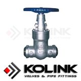 Pressure Seal Gate Valve (Butt weld end)