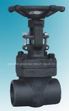 Forged Gate Valve