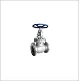 Globe Valve