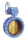 Flanged Concentric Butterfly Valve