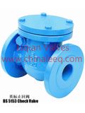 BS 5153 Swing Check Valve