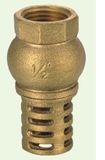 Brass Foot Valve