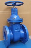 ANSI Cast Iron Non-Rising Stem Gate Valve (MSS SP-70)