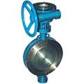 Wafer Tripe Eccentric Butterfly Valve -LIFC2002