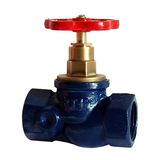 Melleable Iron Globe Valve